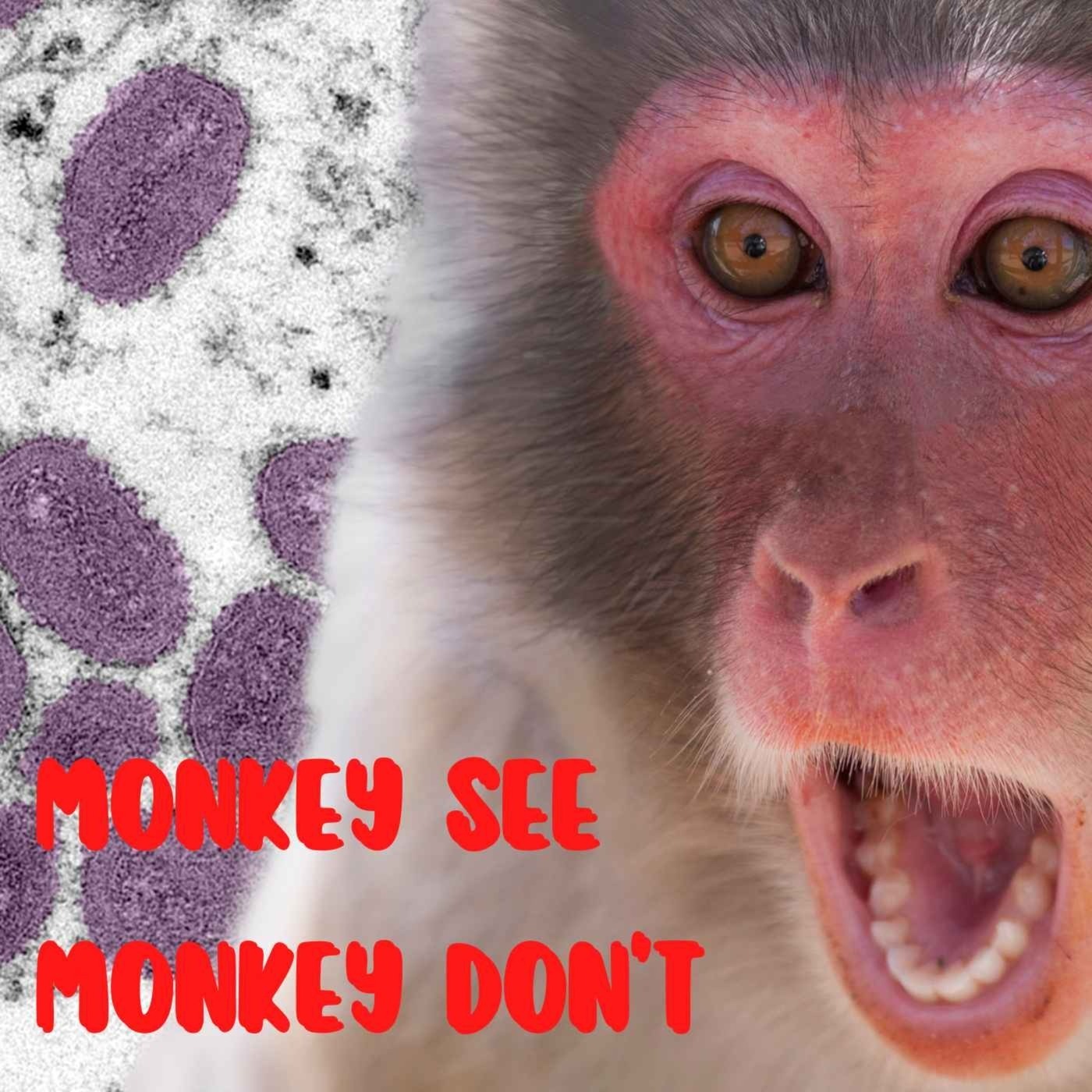 Ep. #494: MONKEY SEE MONKEY DON’T