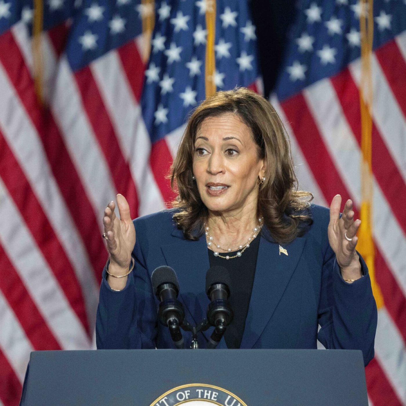 Kamala Harris woos Wisconsin. Will it work?