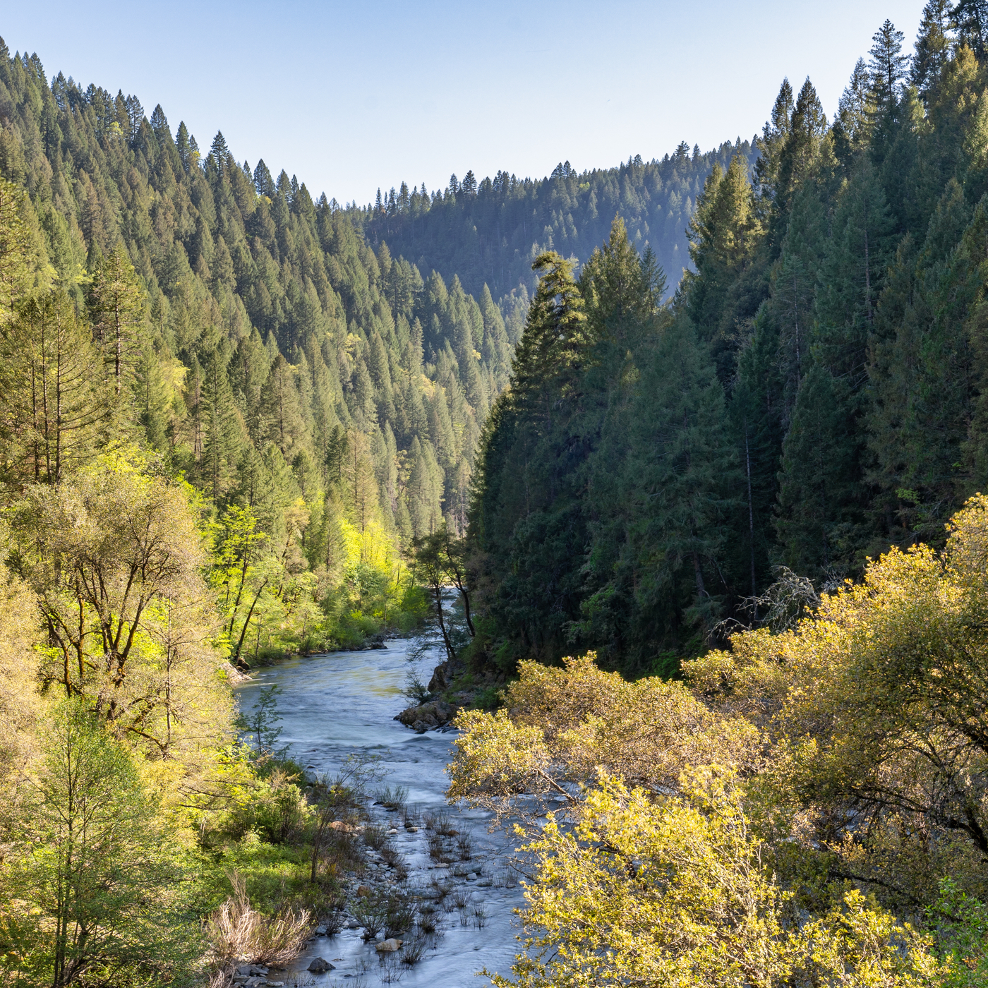 How the Sierra Club ‘imploded’ over DEI