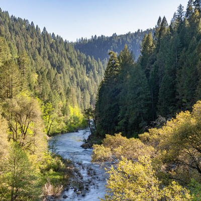 Press Play with Madeleine Brand