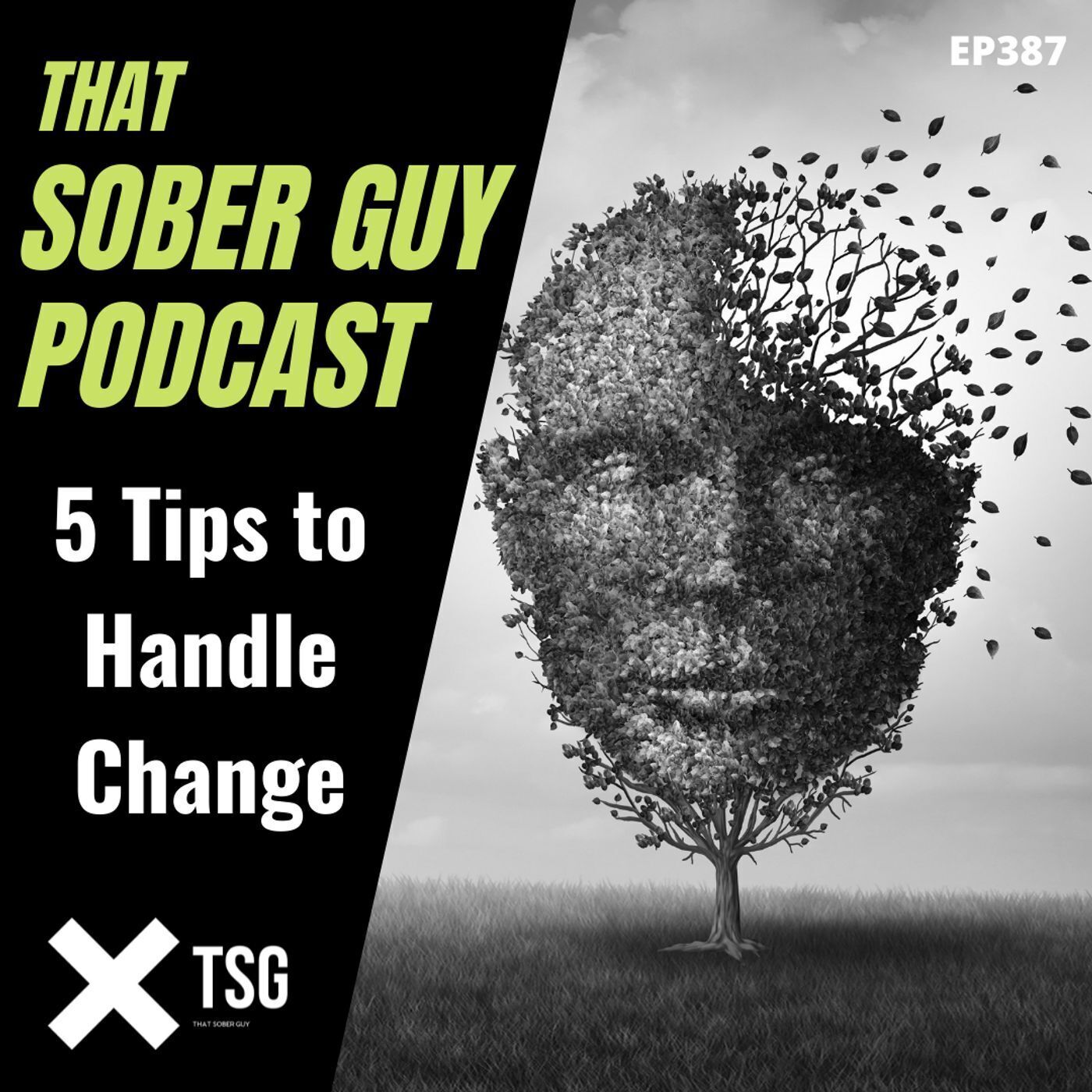 TSG Ep387 - 5 Tips to Handle Change