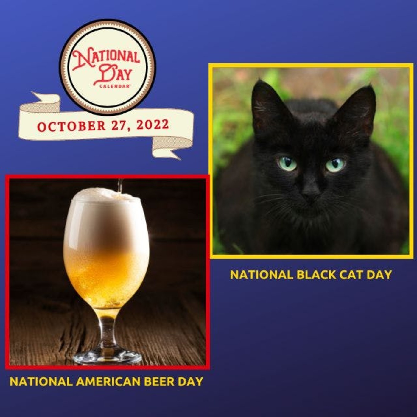 Celebrate Every Day