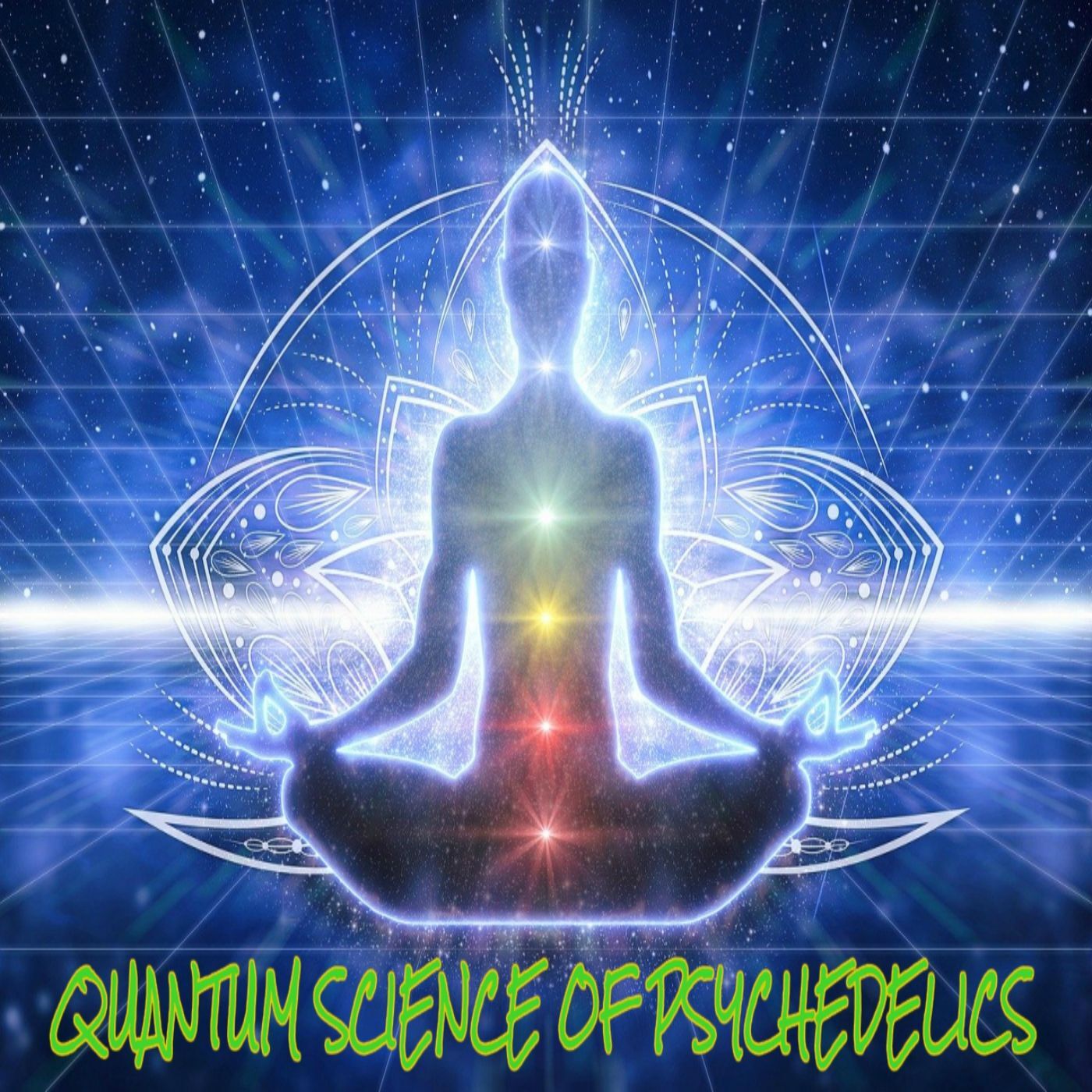 Ep. #378: Quantum Science of Psychedelics w/ Dr. Carl Johan Calleman