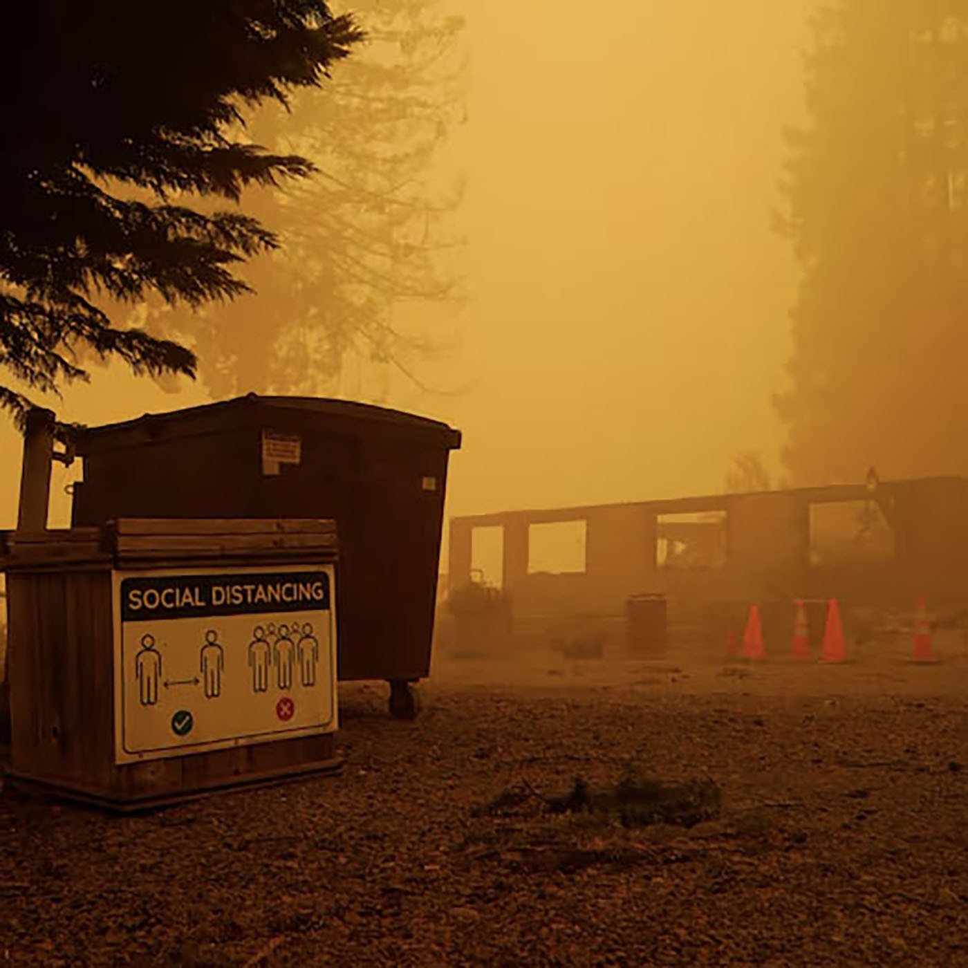 How do you recover from something like a wildfire?