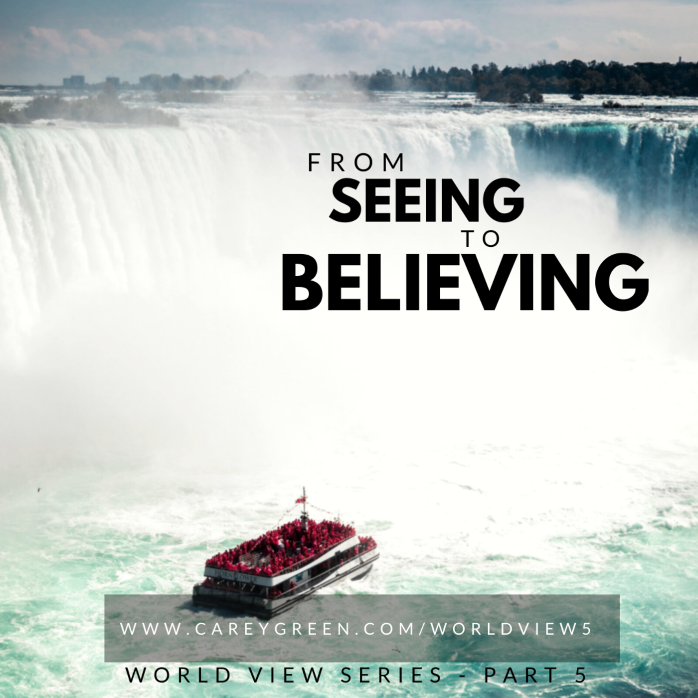 From seeing to believing (WORLD VIEW SERIES)