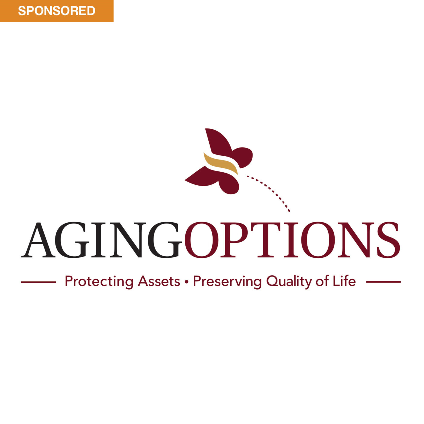 Aging Options: Rajiv Nagaich