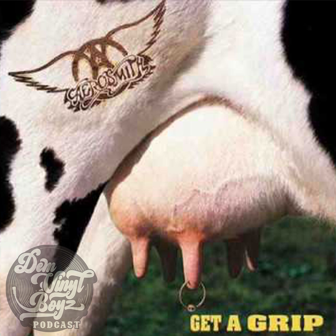 Dem Vinyl Boyz Ep 57 - Aerosmith: Get a Grip