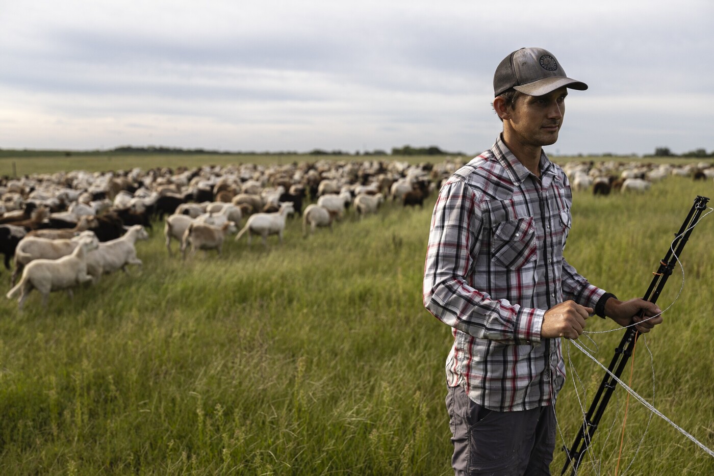 Regenerative farming practices require unlearning past advice