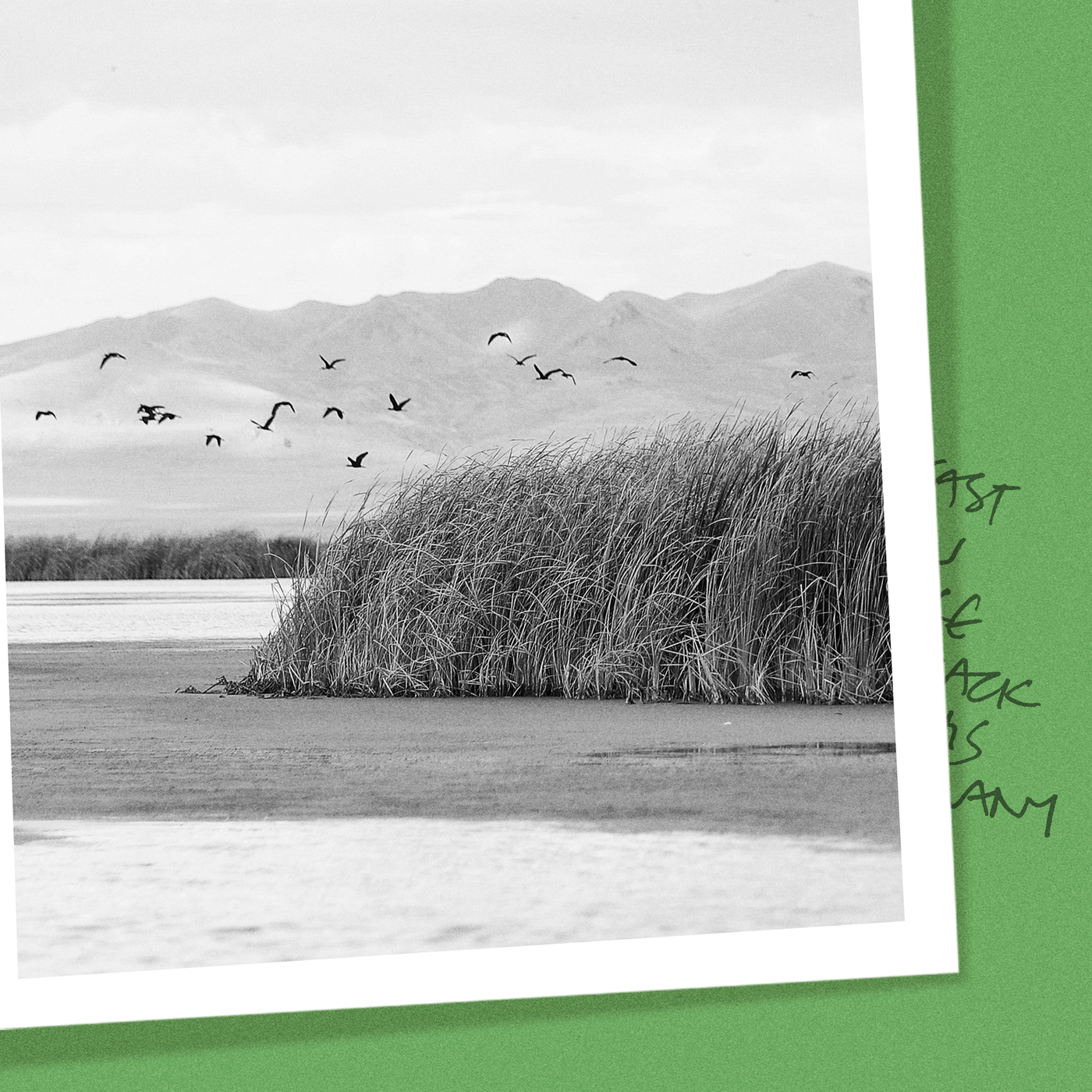 Is the Great Salt Lake Past the Point of No Return?
