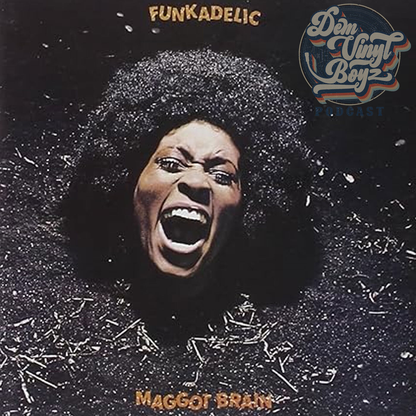 Dem Vinyl Boyz EP 91 - Maggot Brain  - Funkadelic