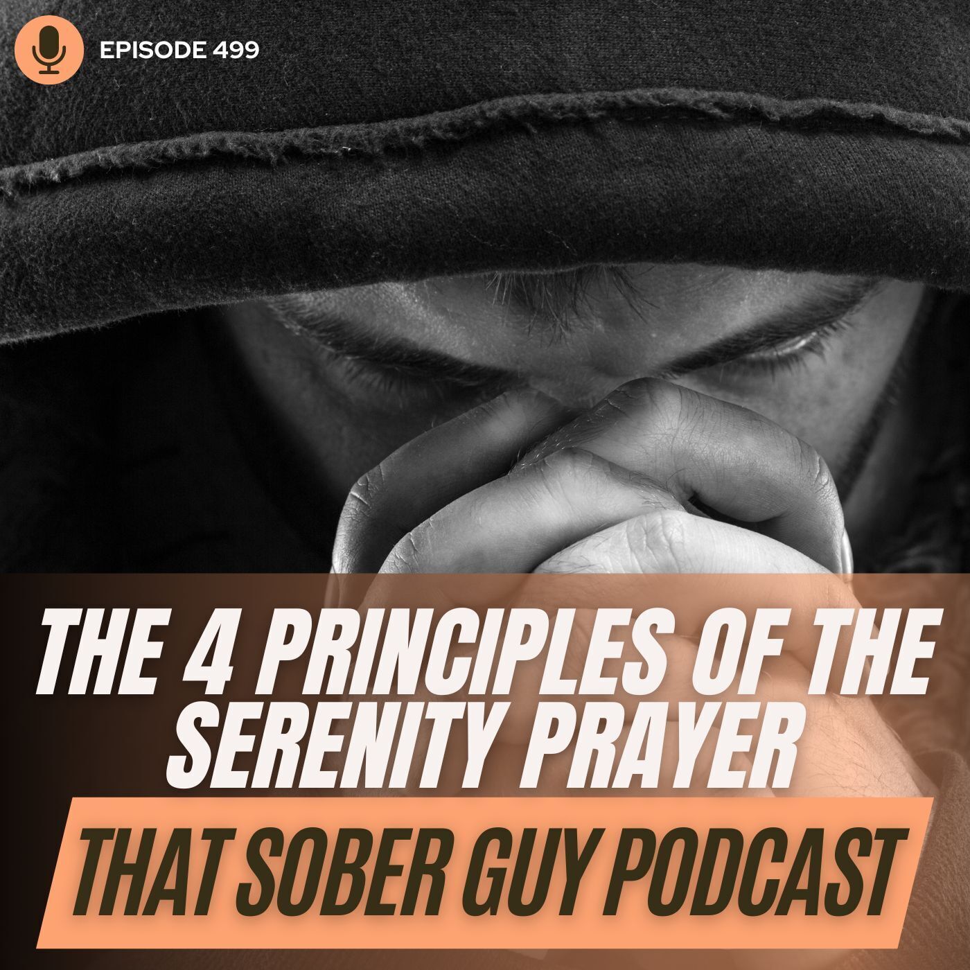 That Sober Guy Podcast