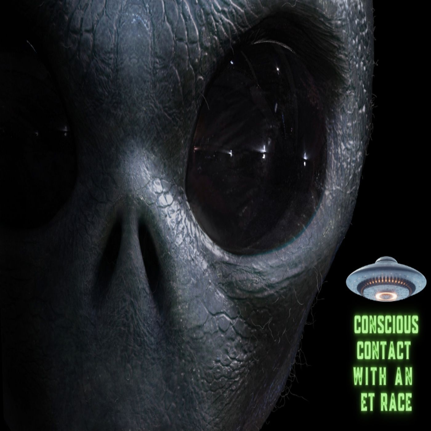 Ep. #405: Conscious Contact With An ET Race w/ Yossi Ronen