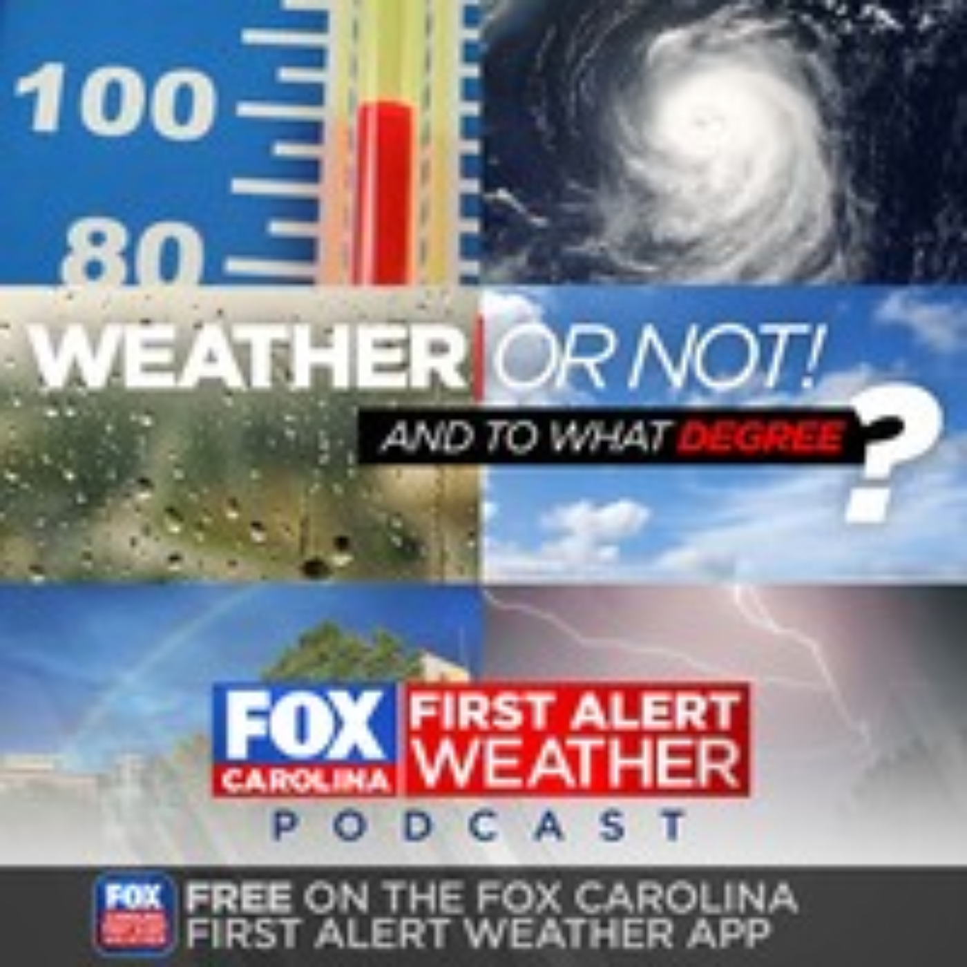 Pollen Palooza - In Depth discussion on our pollen season