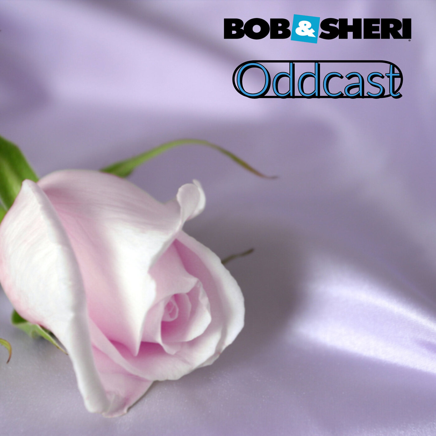 Oddcast - Don’t sleep on the satin sheets